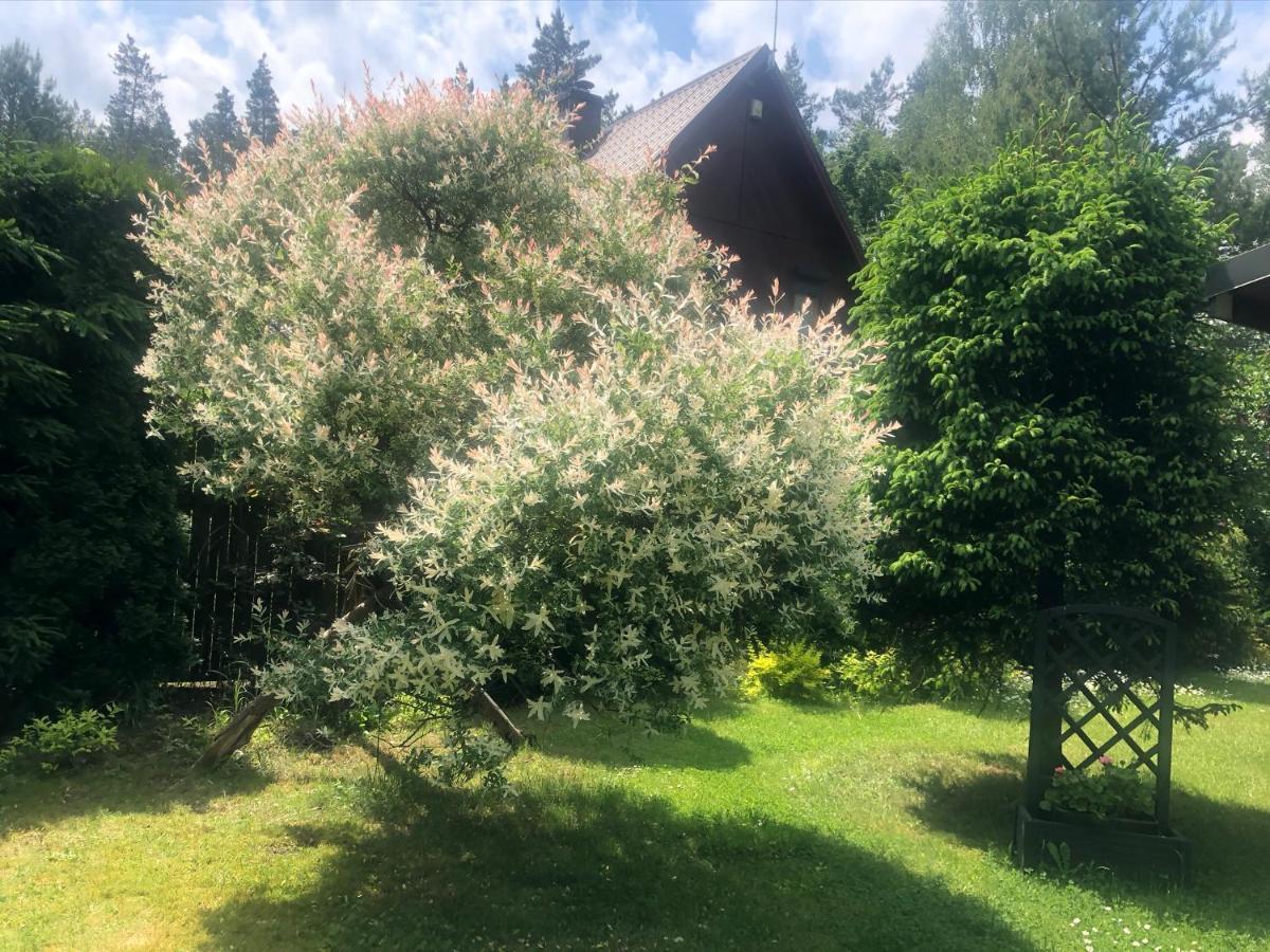 Dom Z Bali Villa Bajkowy Dom Dzwierzuty Bagian luar foto